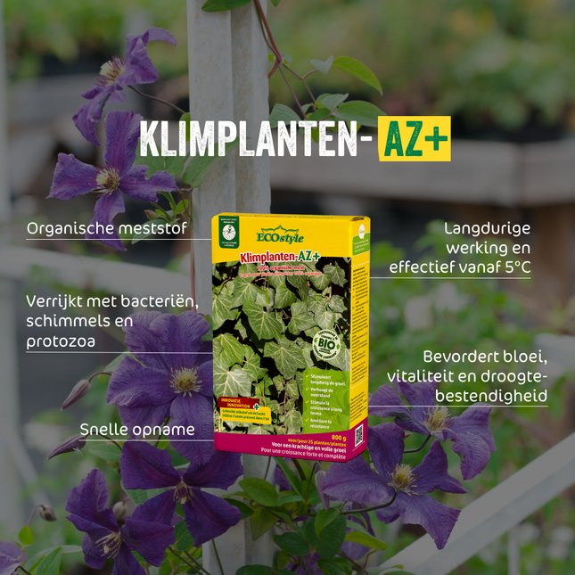 Klimplanten-AZ+