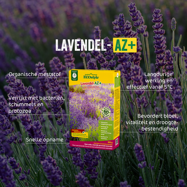 Lavendel-AZ+