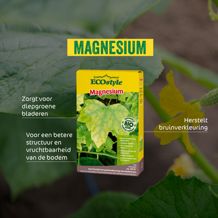 Magnesium