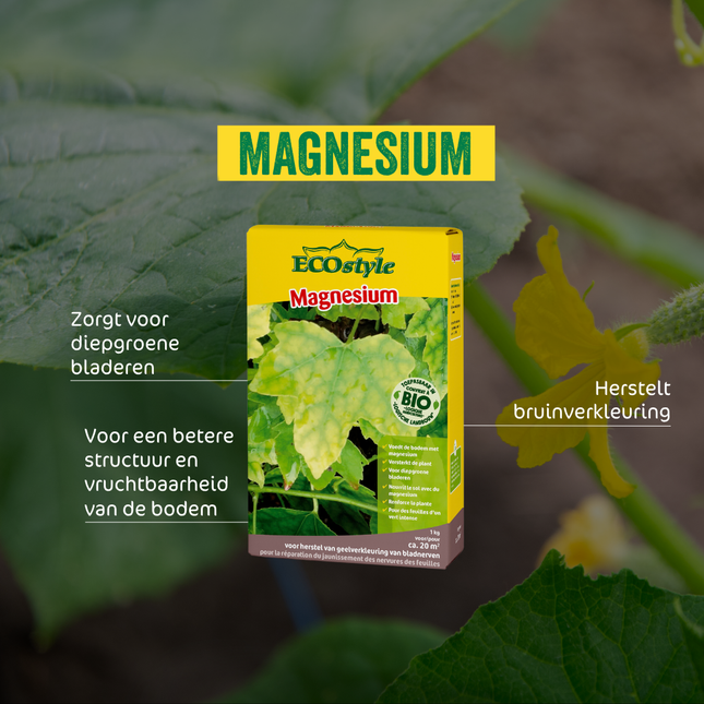 Magnesium