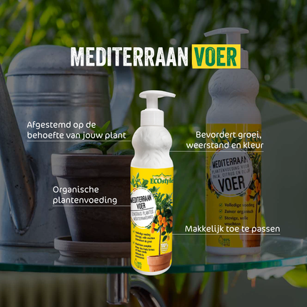 MediterraanVoer