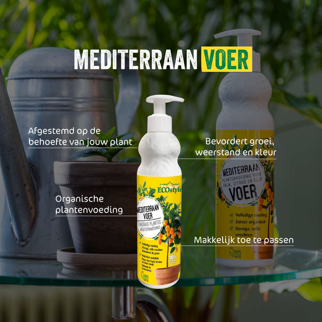 MediterraanVoer