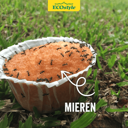 Aaltjes tegen mieren