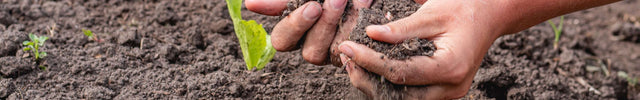 moestuin grond kopen