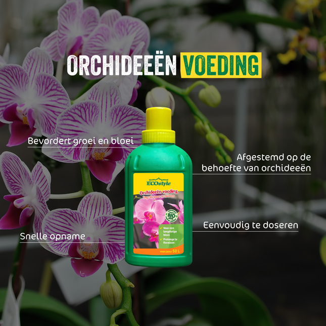Orchideeën voeding