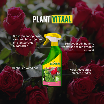 Plant Vitaal