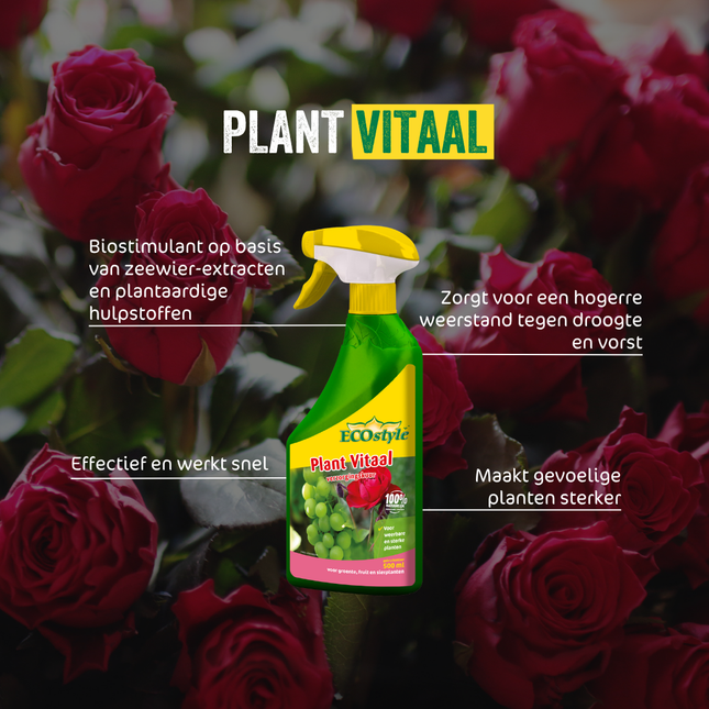 Plant Vitaal