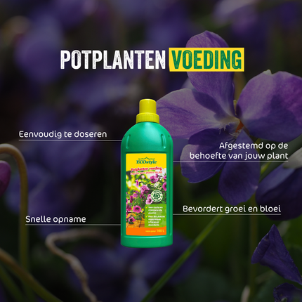 Potplanten voeding