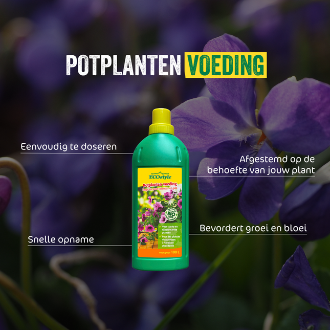 Potplanten voeding