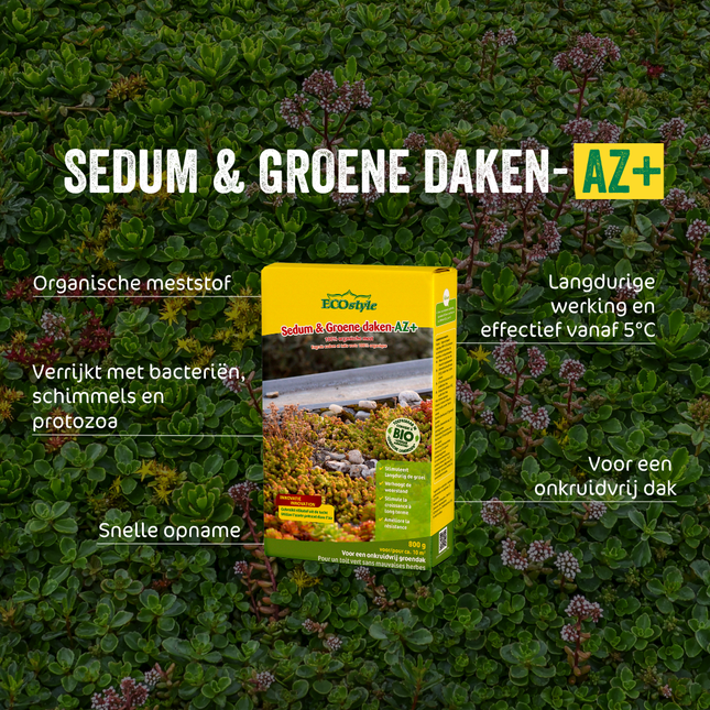 Sedum & Groene daken-AZ+