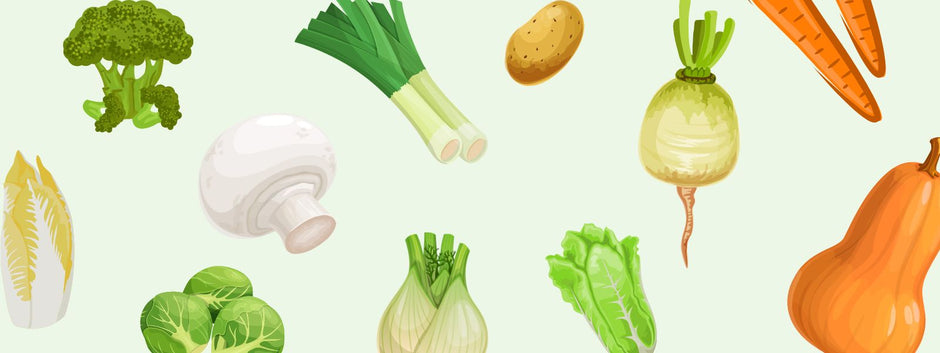 Seizoensgroenten van september | ECOstyle 🍅