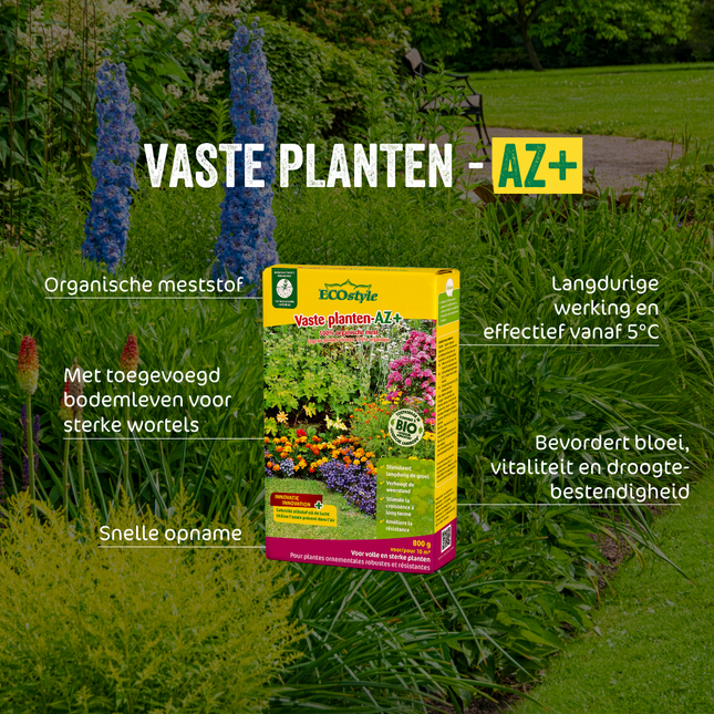 Vaste planten-AZ+