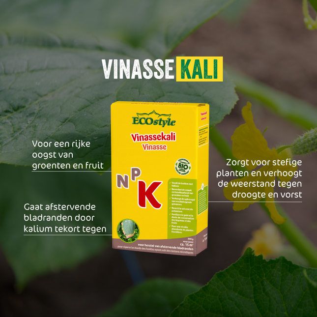 Vinassekali