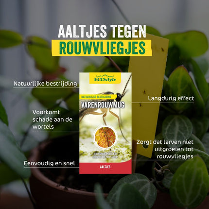 Aaltjes tegen rouwvliegjes (varenrouwmug)