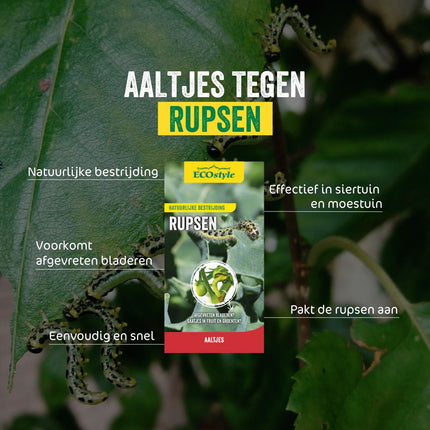 Aaltjes tegen rupsen