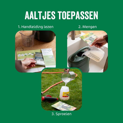 Aaltjes tegen miljoenpoot