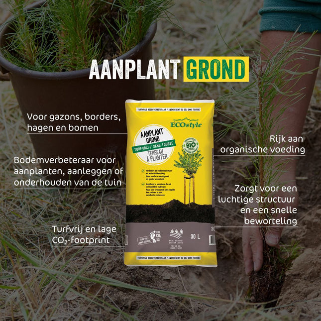 AanplantGrond