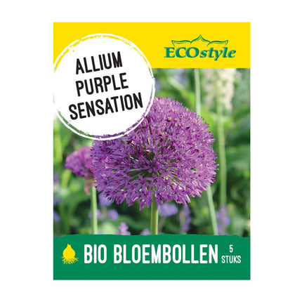 Sierui ‘Allium Purple Sensation’ bloembollen | BIO 🌱