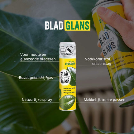 BladGlans Spray