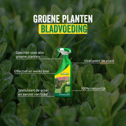 Groene Planten Bladvoeding