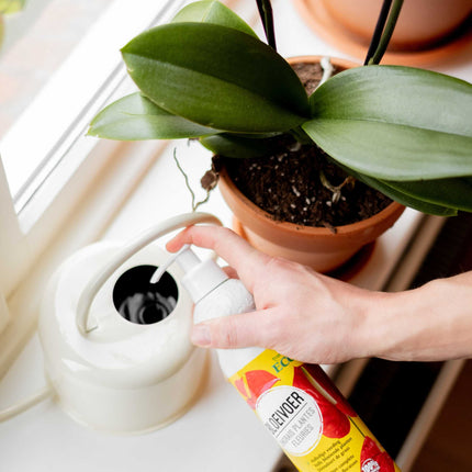 BloeiVoer - Bloeiende planten voeding