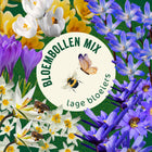 Bloembollen Lage Bloeiers Mix | BIO 🌱