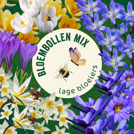 Bloembollen Lage Bloeiers Mix | BIO 🌱