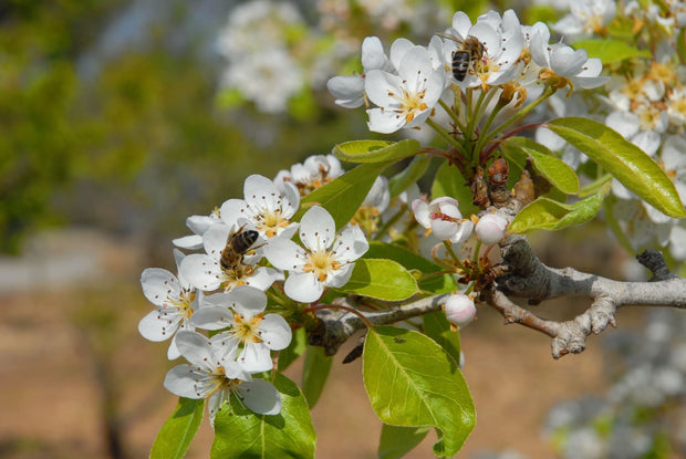 Banner image for: 