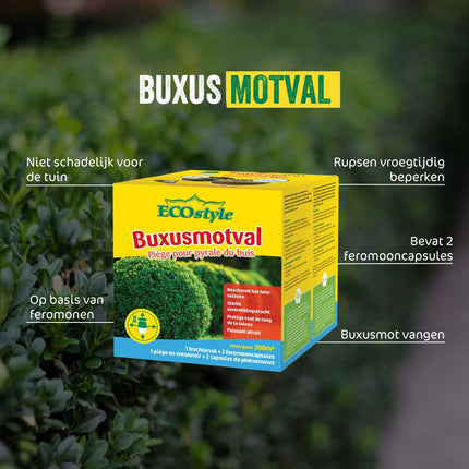 Buxusmotval
