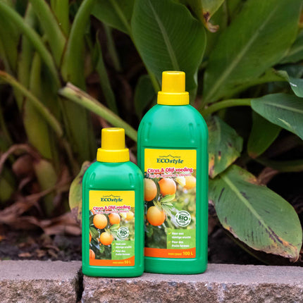 Citrus & Olijf Voeding