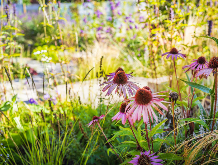 ECOstyle plantenbieb