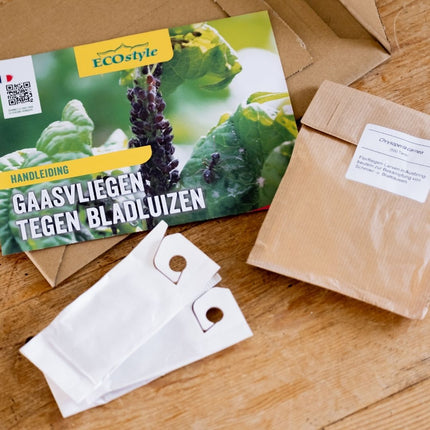 Larven gaasvlieg tegen bladluis