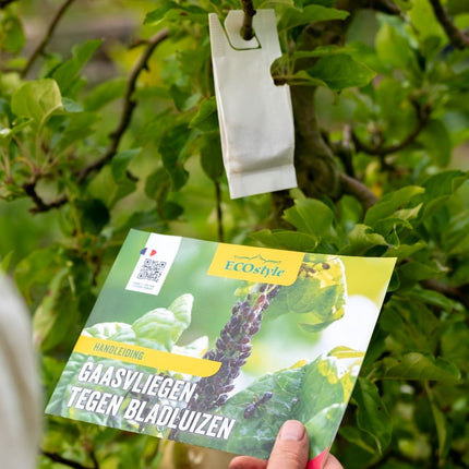 Larven gaasvlieg tegen bladluis