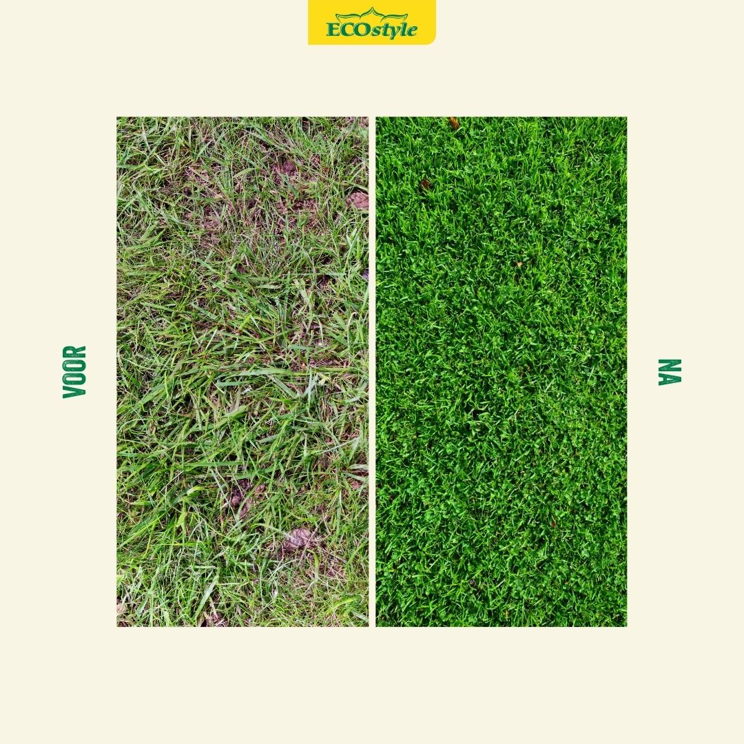 Qizni jinsiy aloqa mashinasi qiynoqqa solmoqda Ilya jinsiy aloqada