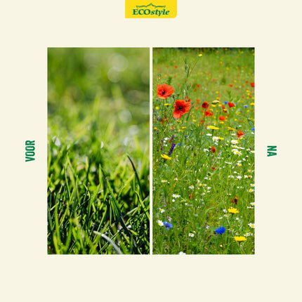 Graszaad met inheemse veldbloemen