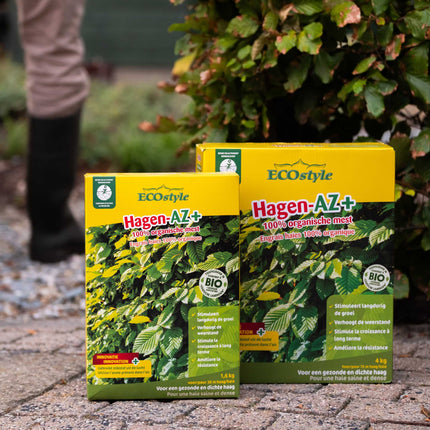 Hagen-AZ+