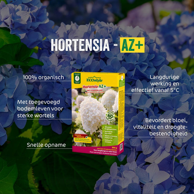 Hortensia-AZ+