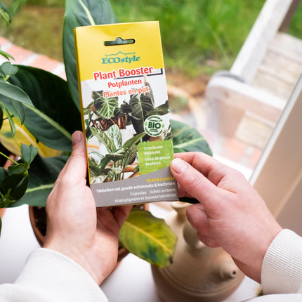 Plant Booster Potplanten