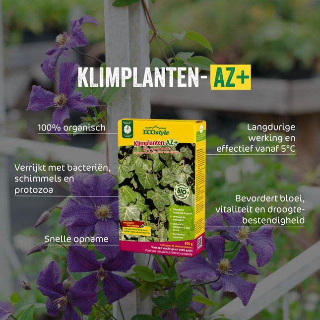 Klimplanten-AZ+