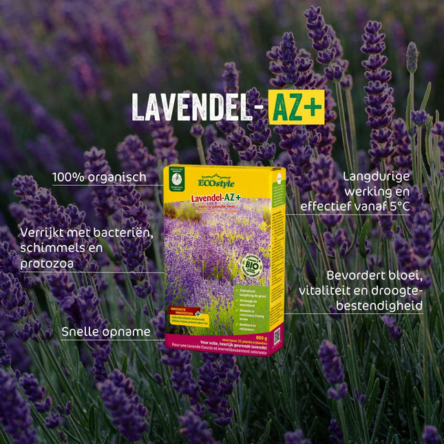 Lavendel-AZ+