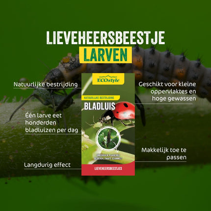 Lieveheersbeestjes Boerderij tegen bladluis