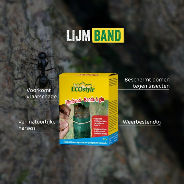 Lijmband