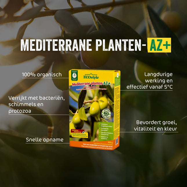 Mediterrane planten-AZ+