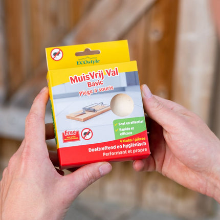 Muizenval Basic 4-pack