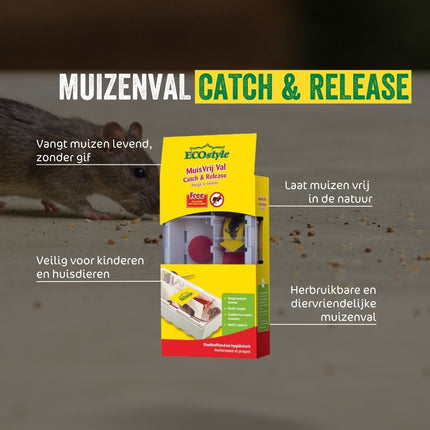 Muizenval Catch & Release