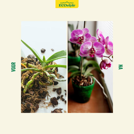 OrchideeVoer - Orchidee voeding