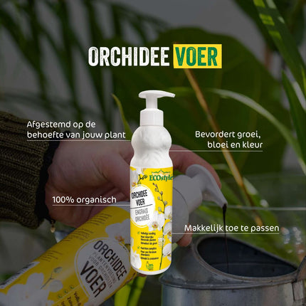 OrchideeVoer - Orchidee voeding