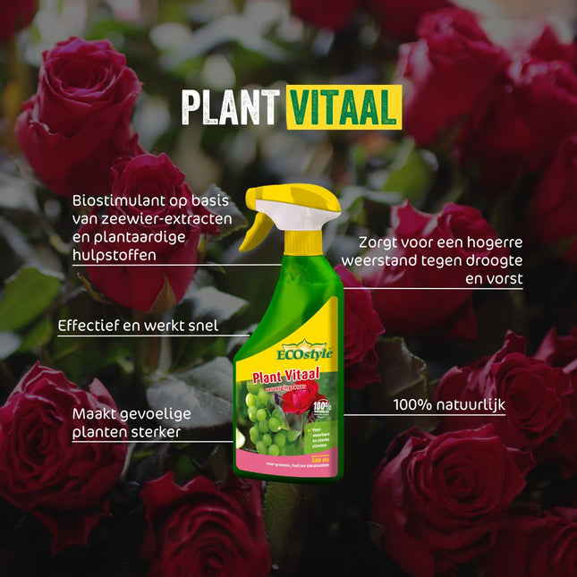 Plant Vitaal