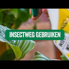 InsectWeg