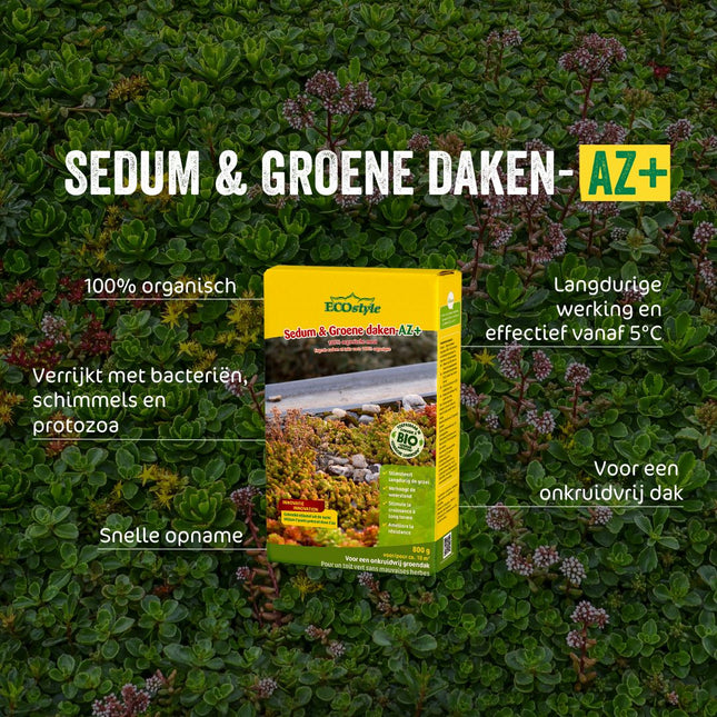 Sedum & Groene daken-AZ+